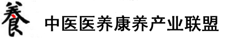 大鸡八操小sao穴嗯91视频